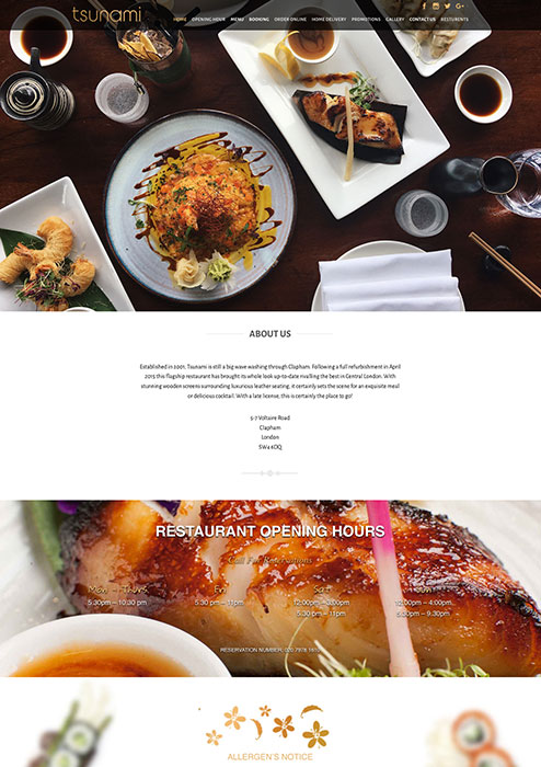 Tsunami Clapham website preview